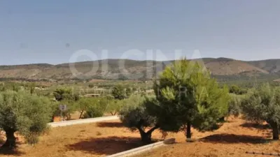 Chalet in Ibi photo 62