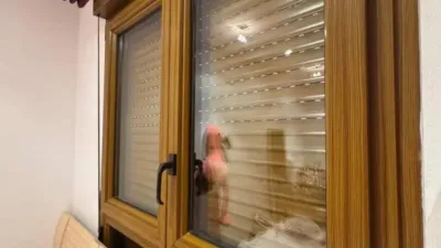 Apartment in the City Centre photo 13