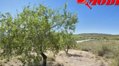 Rustic house in Villamena photo 8