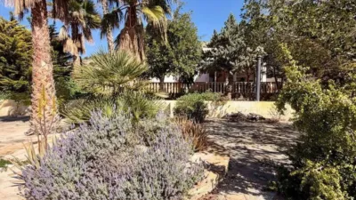 Chalet in Torrellano-Valverde-Parc Empresarial photo 79