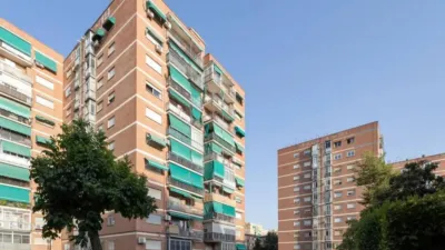 Apartment in Cartuja photo 19