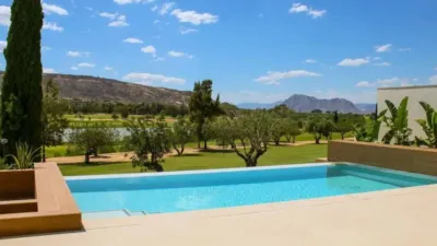 Chalet in Algorfa photo 2