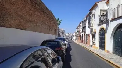 Chalet in La Palma del Condado photo 3