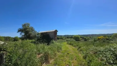 Apartment in Vilalba photo 11