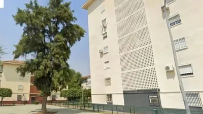 Apartment in Parque Alcosa-Jardines del Edén photo 2