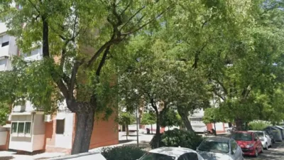 Apartment in San Pablo photo 2