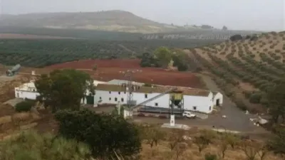 Chalet in Antequera photo 2