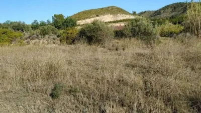 Rustic property in Bugarra photo 5