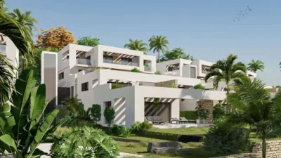 Apartment in Algorfa photo 10