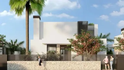 Chalet in Algorfa photo 46