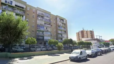 Apartment in Cerro Amate photo 3