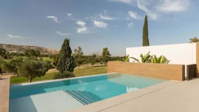 Chalet en Algorfa photo 8