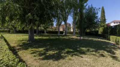 Chalet in El Chaparral photo 13