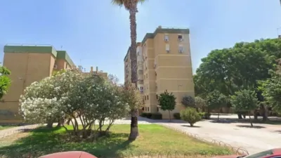 Apartment in Pino Montano photo 3