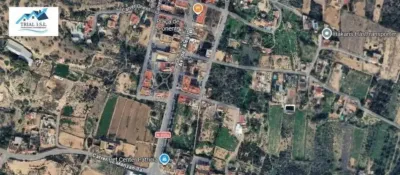 Pis – Elx - Elche - Vista 3
