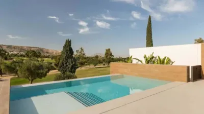 Chalet in Algorfa photo 7