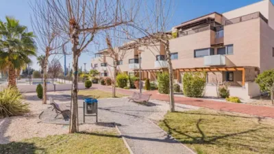 Apartment in Albolote photo 13