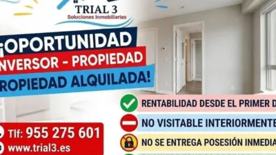 Apartment on Alcalde Felipe Mallol photo 4