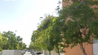 Pis – Elx - Elche - Vista 2