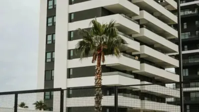 Penthouse on Carrer Eslovaquia photo 3