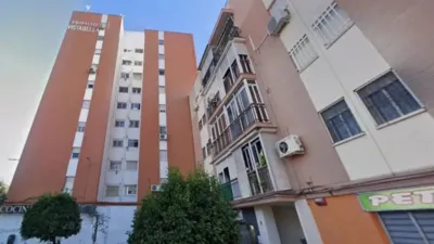 Apartment in Bellavista photo 3