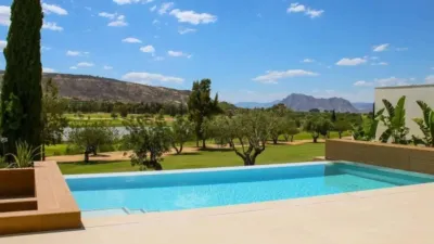 Chalet in Algorfa photo 4