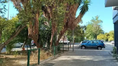 Apartment in Seville City Centre photo 4