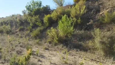 Rustic property in Bugarra photo 4