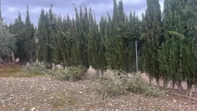 Chalet in Jaén Capital photo 3