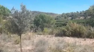 Rustic house in Bugarra photo 5