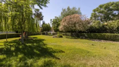 Chalet in El Chaparral photo 9