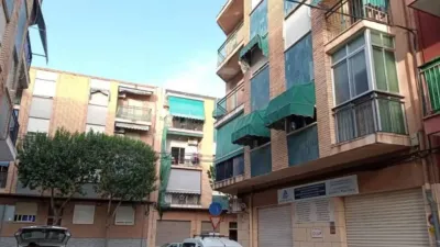 Apartment on Alcalde Felipe Mallol photo 3