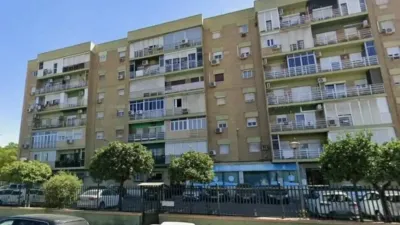 Apartment in Cerro Amate photo 2