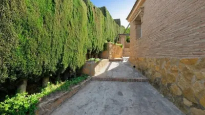 Rustic house on Camino Viejo de Motril photo 19