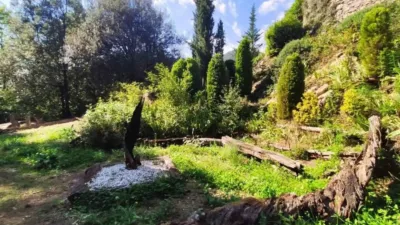 Chalet in La Vall de Bianya photo 54