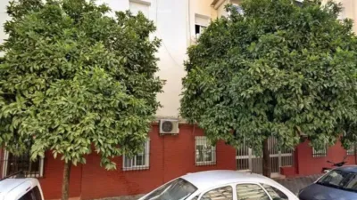 Apartment in Seville City photo 2
