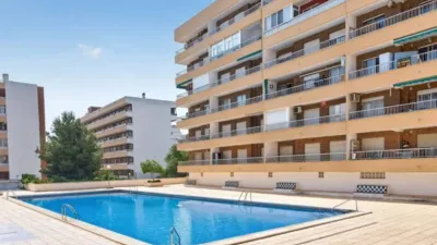 Penthouse on Punta Prima Street, -1 photo 10