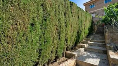 Rustic house on Camino Viejo de Motril photo 15