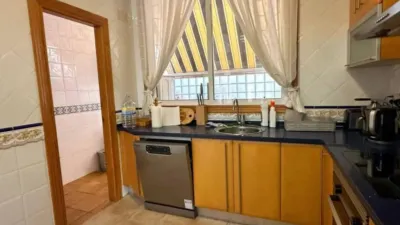 Apartment in Guardamar del Segura photo 8