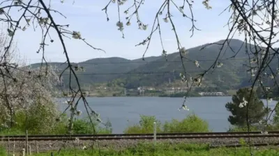 Chalet en Ribadavia photo 2