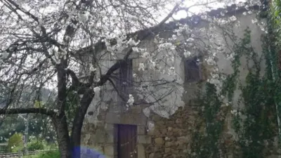 Chalet en Ribadavia photo 4