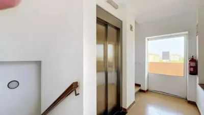 Apartment on Avinguda de la Platja photo 18
