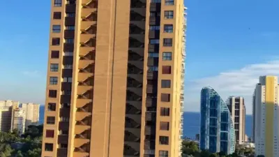 Apartment in Benidorm photo 4