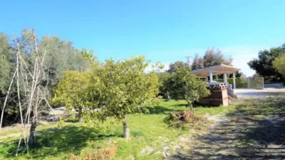 Chalet en Guardamar del Segura photo 8