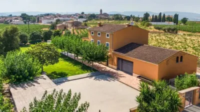 Chalet in Santa Fe del Penedès photo 4
