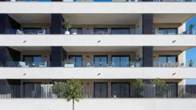 Apartment in Benijófar photo 2
