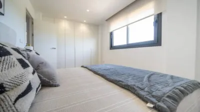 Chalet in Algorfa photo 51