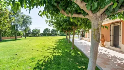 Chalet in Santa Fe del Penedès photo 13