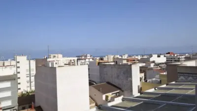 Apartment in Guardamar del Segura photo 9
