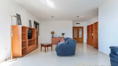 Apartment in Platja de Ponent photo 13